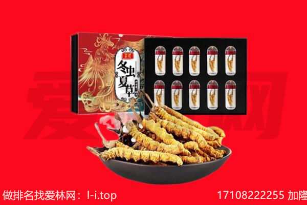 林芝回收虫草.jpg